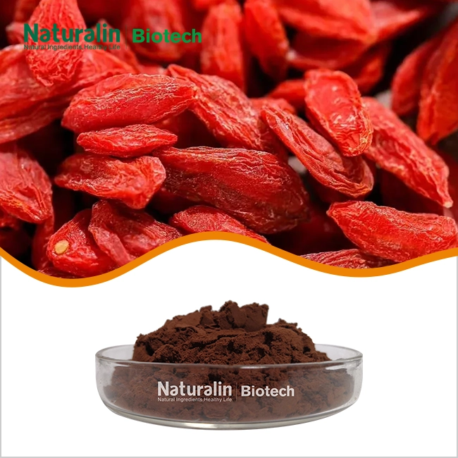 Wolfberry Extract Wolfberry Extract